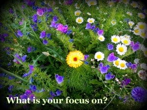 law of attraction focus ~ Everything going wrong