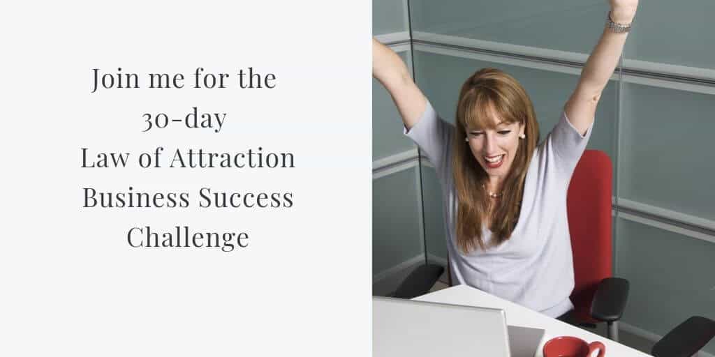 law of attrraction business success challenge