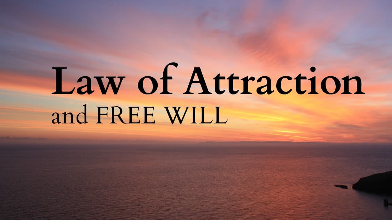 the law of attraction and free will
