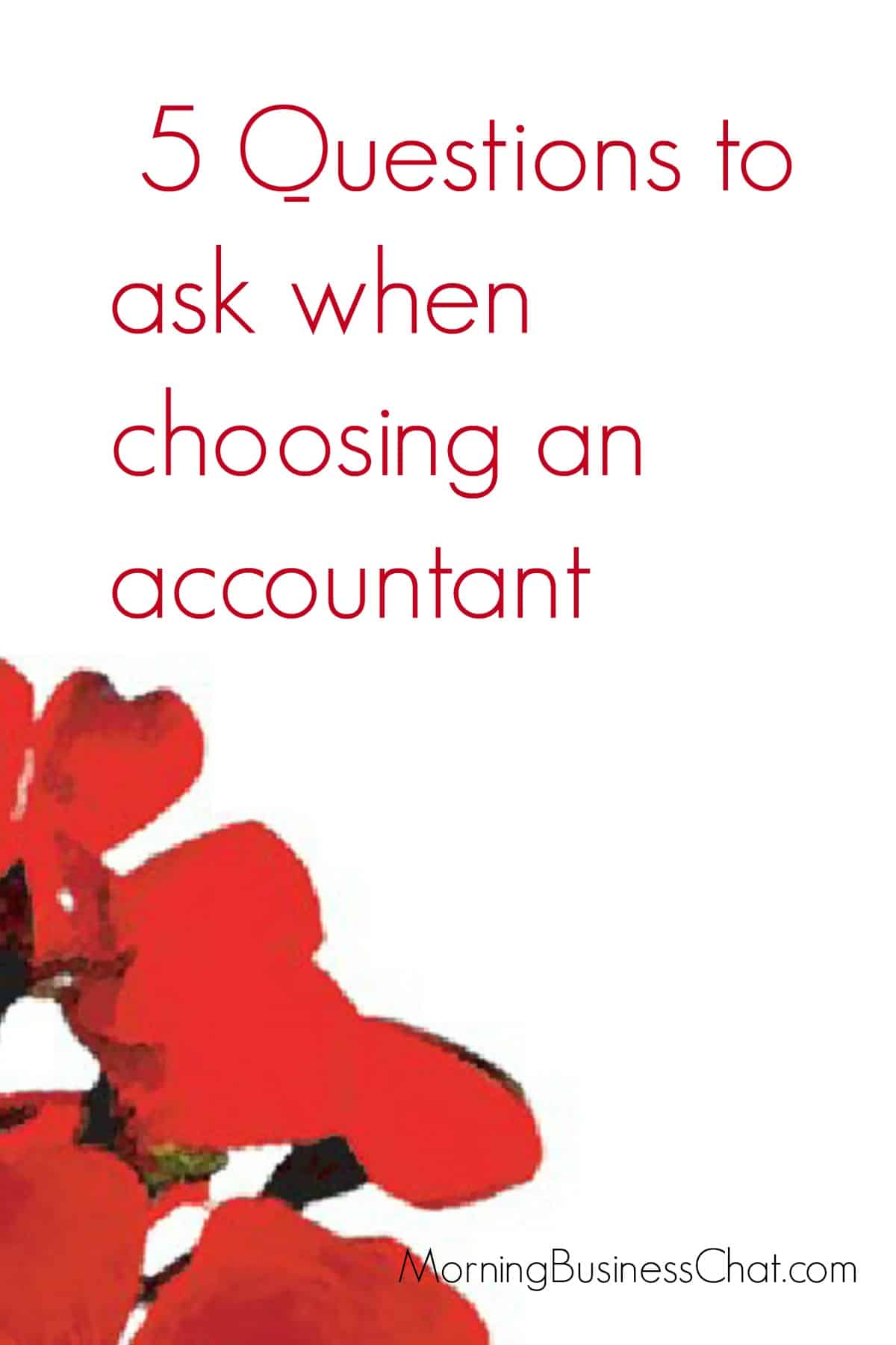 Questions to ask when choosing an accountant - Guest posts from Red Geranium Accountancy services.
