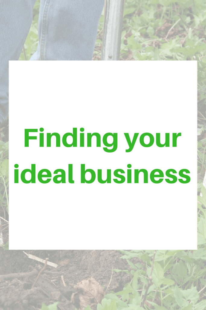 What's your ideal business? Here are a few business ideas for wannabe entrepreneurs.