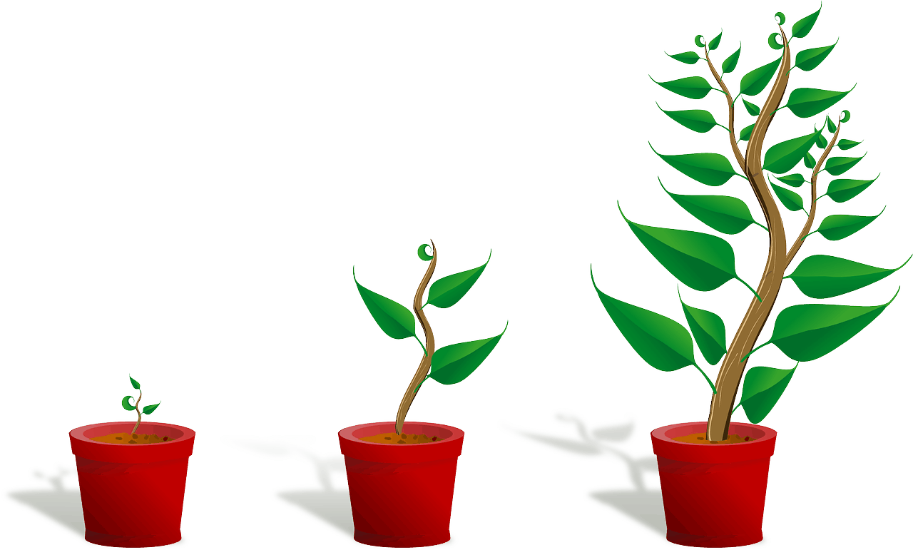 Setting up a green business.
