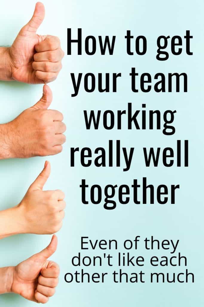 Learn how to get your team working well together even if they don't like each other very much.