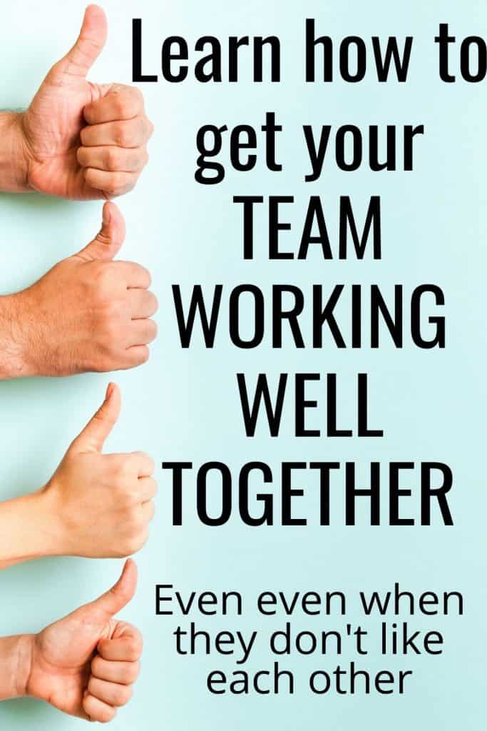 Learn how to get your team working well together even if they don't like each other.