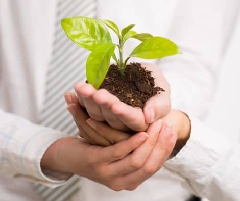 How environmentally friendly is your business?  Here are 3 tips for a greener business.